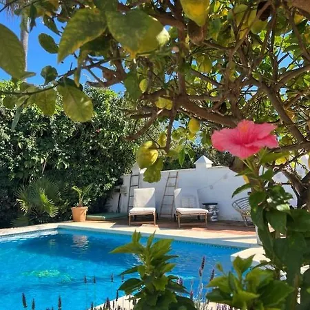 Lovely In San Pedro De Alcantara,